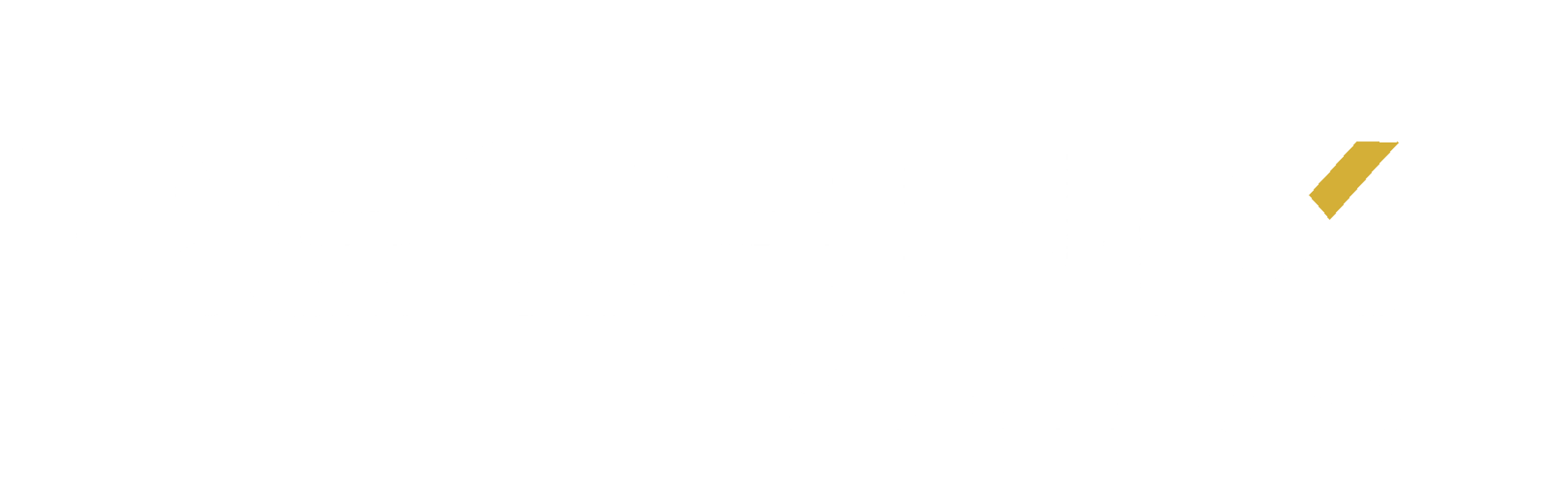RECHNIX Business